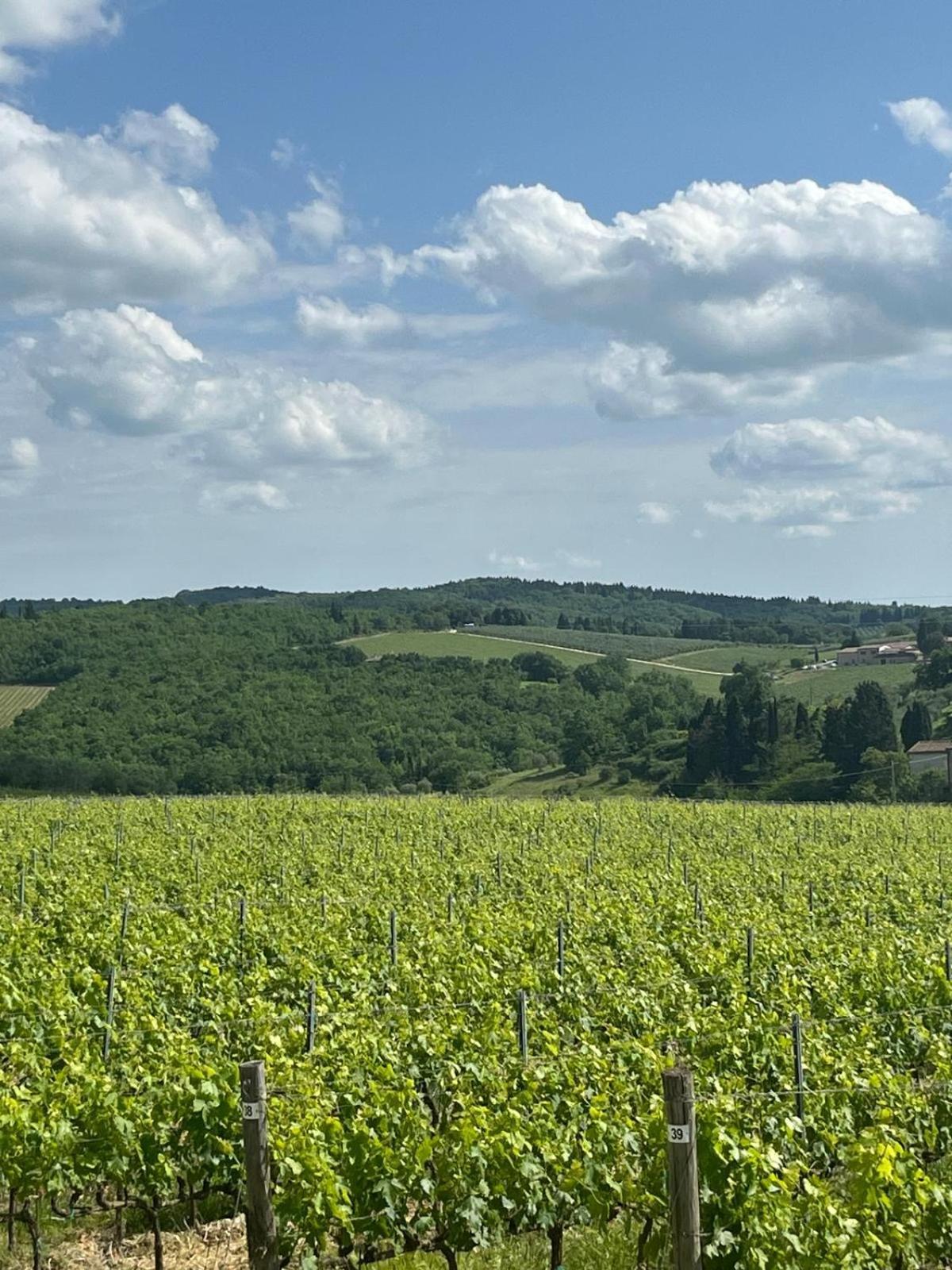 Apartment Casa Galletti San Donato in Poggio